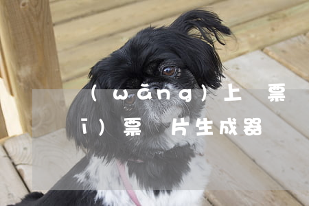 網(wǎng)上訂票圖片生成器(訂機(jī)票圖片生成器)