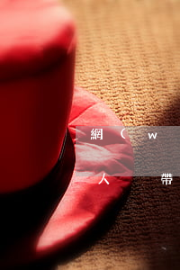網(wǎng)上訂票如何使用殘疾證（殘疾人攜帶導(dǎo)盲犬的相關(guān)規(guī)定）