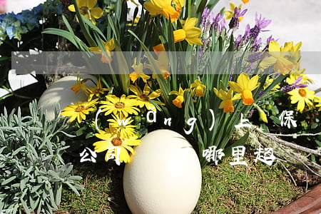 網(wǎng)上買保險糾紛怎么起訴(保險公司糾紛去哪里起訴)
