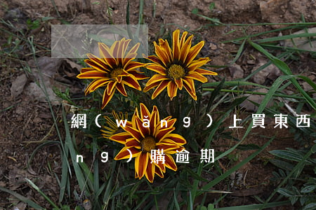 網(wǎng)上買東西逾期退款 網(wǎng)購逾期