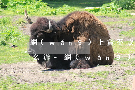 網(wǎng)上貸不款沒逾期成黑名單怎么辦-網(wǎng)貸沒逾期為什么上黑名單