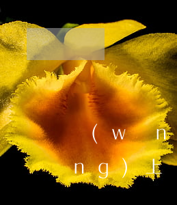 網(wǎng)上貸款不還可以嗎(網(wǎng)上貸款不還行嗎)
