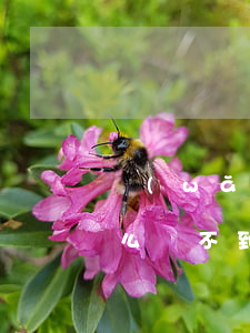 網(wǎng)上貸款沒(méi)逾期怎么貸不到錢(qián)了(沒(méi)有逾期為什么網(wǎng)貸全部點(diǎn)不下來(lái))