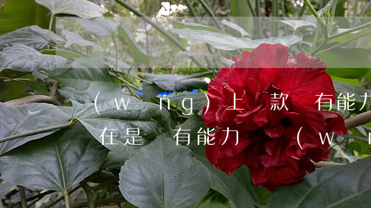 網(wǎng)上貸款沒有能力還了怎么辦(實在是沒有能力還網(wǎng)貸怎么辦)