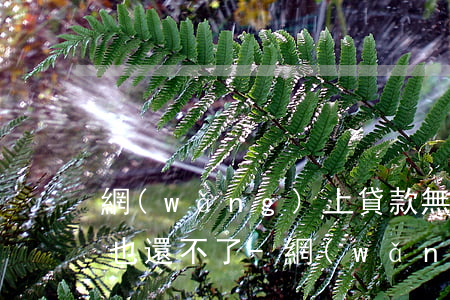 網(wǎng)上貸款無力償還怎么辦起訴也還不了-網(wǎng)上貸款無法償還后果怎么樣