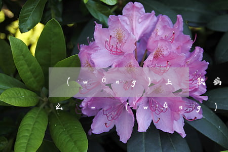 網(wǎng)上貸款病情期間無力償還怎么辦-網(wǎng)貸生病還不上怎么辦