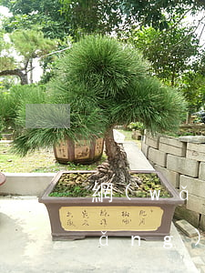 網(wǎng)上貸款較多但未逾期(網(wǎng)上貸款較多但未逾期怎么辦)