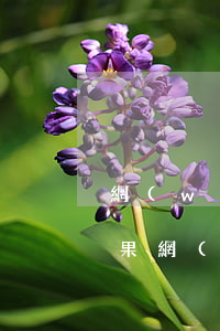 網(wǎng)上貸款逾期不還會有什么后果(網(wǎng)貸逾期不還有什么影響)