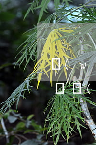 網(wǎng)上貸款逾期不還被起訴怎么辦(網(wǎng)上貸款逾期被上訴怎么辦?)
