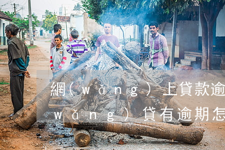 網(wǎng)上貸款逾期了該怎么辦(網(wǎng)貸有逾期怎么辦)