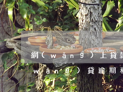 網(wǎng)上貸款逾期利息那么高(網(wǎng)貸逾期利息太高該不該還)