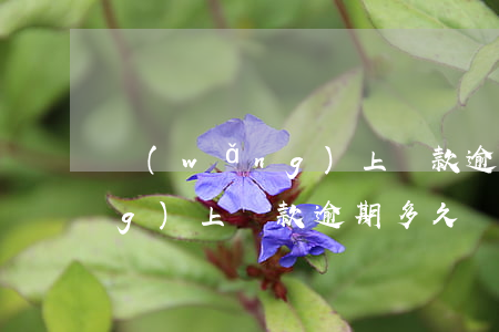 網(wǎng)上貸款逾期多久(網(wǎng)上貸款逾期多久)