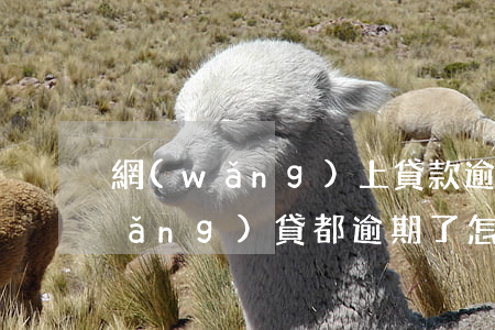 網(wǎng)上貸款逾期怎么辦理(網(wǎng)貸都逾期了怎么正確處理)