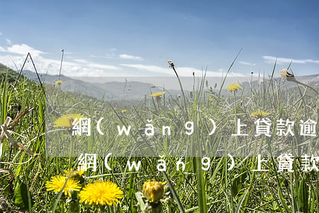 網(wǎng)上貸款逾期怎樣知道被起訴(網(wǎng)上貸款逾期起訴怎么辦)