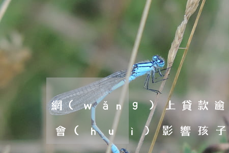 網(wǎng)上貸款逾期會(huì)不會(huì)影響孩子找工作-網(wǎng)上貸款逾期會(huì)不會(huì)影響孩子找工作呢