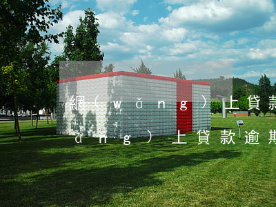 網(wǎng)上貸款逾期法院起訴(網(wǎng)上貸款逾期被起訴了怎么辦)
