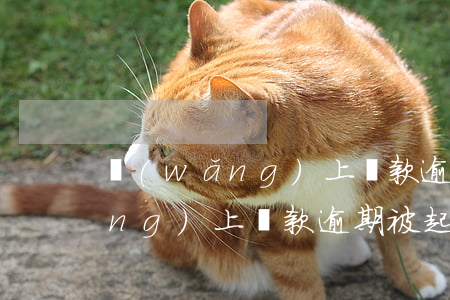 網(wǎng)上貸款逾期被起訴 網(wǎng)上貸款逾期被起訴