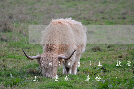 網(wǎng)上貸款逾期說會(huì)上門要求帶身份證-網(wǎng)上貸款逾期說會(huì)上門要求帶身份證是真的嗎
