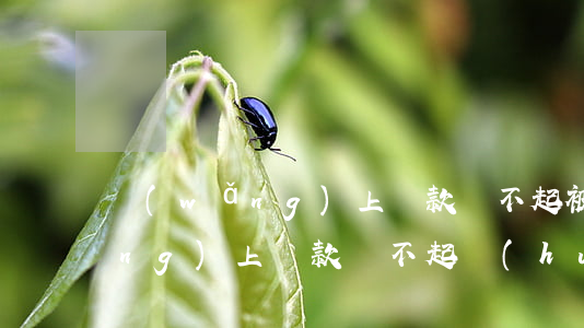 網(wǎng)上貸款還不起被殺(網(wǎng)上貸款還不起會(huì)坐牢嗎?)