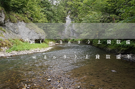 網(wǎng)上貸款還不起被立案-網(wǎng)上貸款還不起被立案