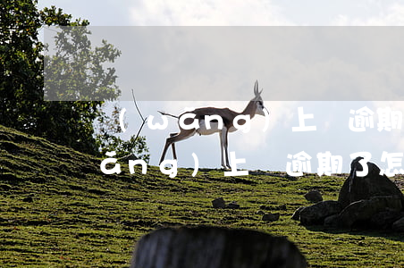 網(wǎng)上貸逾期了怎么辦-網(wǎng)上貸逾期了怎么辦又沒(méi)錢(qián)還