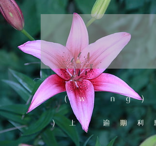 網(wǎng)上貸逾期利息(網(wǎng)上貸逾期利息)