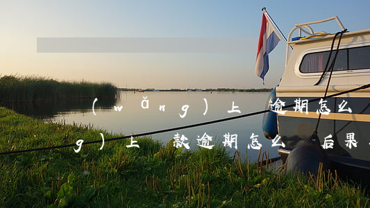 網(wǎng)上貸逾期怎么辦(網(wǎng)上貸款逾期怎么辦?后果其實很嚴重)