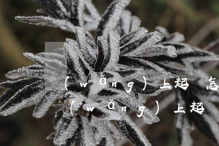 網(wǎng)上起訴怎么辦理(怎么直接從網(wǎng)上起訴)