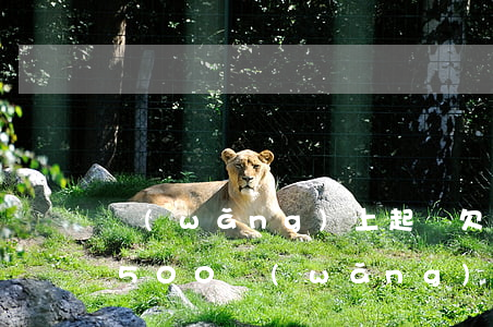 網(wǎng)上起訴欠錢(qián)1500 網(wǎng)上起訴欠錢(qián)不還的程序和費(fèi)用