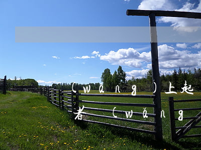 網(wǎng)上起訴欠錢(qián)不還者 網(wǎng)上起訴欠錢(qián)不還者怎么寫(xiě)