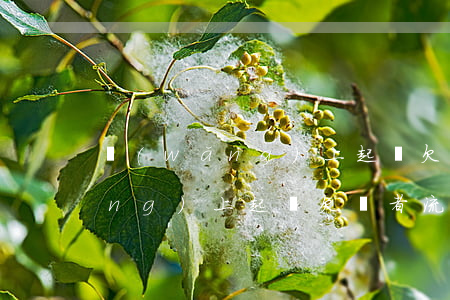 網(wǎng)上起訴欠錢者流程(網(wǎng)上起訴欠錢者流程)