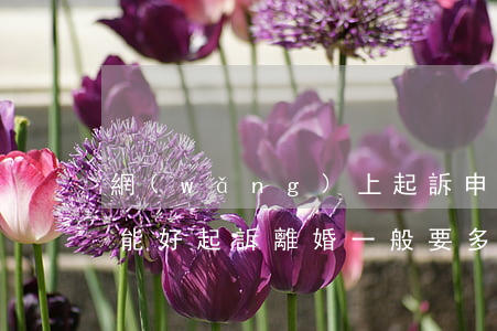 網(wǎng)上起訴申請離婚什么時候才能好(起訴離婚一般要多久才能辦下來)