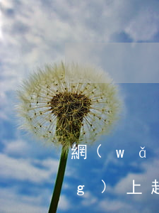 網(wǎng)上起訴費多少錢(網(wǎng)上起訴的流程及費用標(biāo)準(zhǔn))