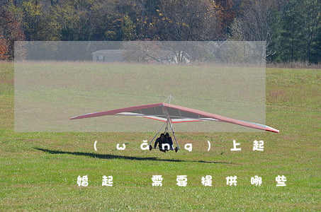 網(wǎng)上起訴離婚需要什么材料(離婚起訴需要提供哪些資料)