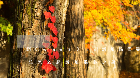 網(wǎng)上起訴離婚需要多少錢(離婚該怎么起訴離婚多少錢)