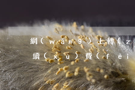 網(wǎng)上轉(zhuǎn)賬要手續(xù)費(fèi)嗎(同行網(wǎng)上轉(zhuǎn)賬要手續(xù)費(fèi)嗎)