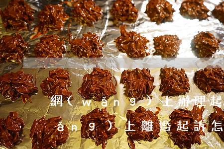 網(wǎng)上辦理起訴離婚程序(網(wǎng)上離婚起訴怎么辦理流程視頻)