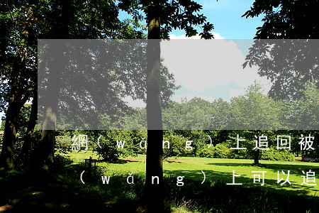 網(wǎng)上追回被騙的錢是真的嗎(網(wǎng)上可以追回被騙的錢是真的嗎)