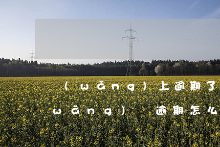 網(wǎng)上逾期了怎么辦信用卡(網(wǎng)貸逾期怎么辦信用卡)