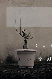網(wǎng)上那些幫人網(wǎng)貸逾期(網(wǎng)貸逾期的人后來怎么樣了)