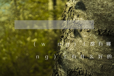 網(wǎng)上都有哪些貸款平臺(網(wǎng)上有什么好的貸款平臺)