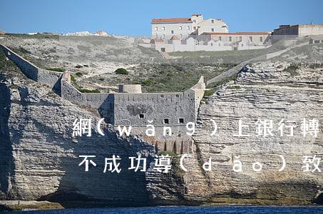 網(wǎng)上銀行轉(zhuǎn)賬不成功導(dǎo)致逾期(網(wǎng)上銀行轉(zhuǎn)賬不成功導(dǎo)致逾期)