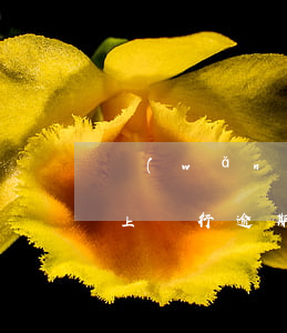 網(wǎng)上銀行逾期(網(wǎng)上銀行逾期好幾個月了會上門嗎)