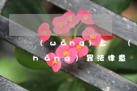 網(wǎng)上開設(shè)賭場(chǎng)罪法律意見書(不構(gòu)成開設(shè)賭場(chǎng)罪的法律意見書)