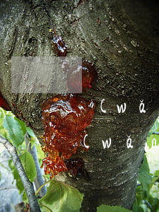 網(wǎng)上離婚起訴怎么辦理流程(網(wǎng)上起訴離婚怎么弄)