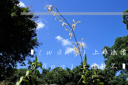 網(wǎng)上非法借貸不還的后果(網(wǎng)上借款不還的后果)