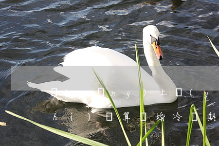 網(wǎng)上預(yù)約登記時(shí)間算離婚冷靜期嗎(預(yù)約離婚的時(shí)間)