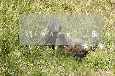 網(wǎng)上預(yù)約離婚要到現(xiàn)場登記嗎(網(wǎng)上預(yù)約離婚手續(xù))