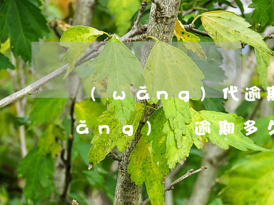 網(wǎng)代逾期多久會起訴-網(wǎng)貸逾期多久會被告