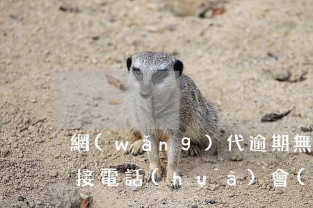 網(wǎng)代逾期無(wú)力償還不接電話(huà)會(huì)怎樣-網(wǎng)代逾期無(wú)力償還不接電話(huà)會(huì)怎樣處理
